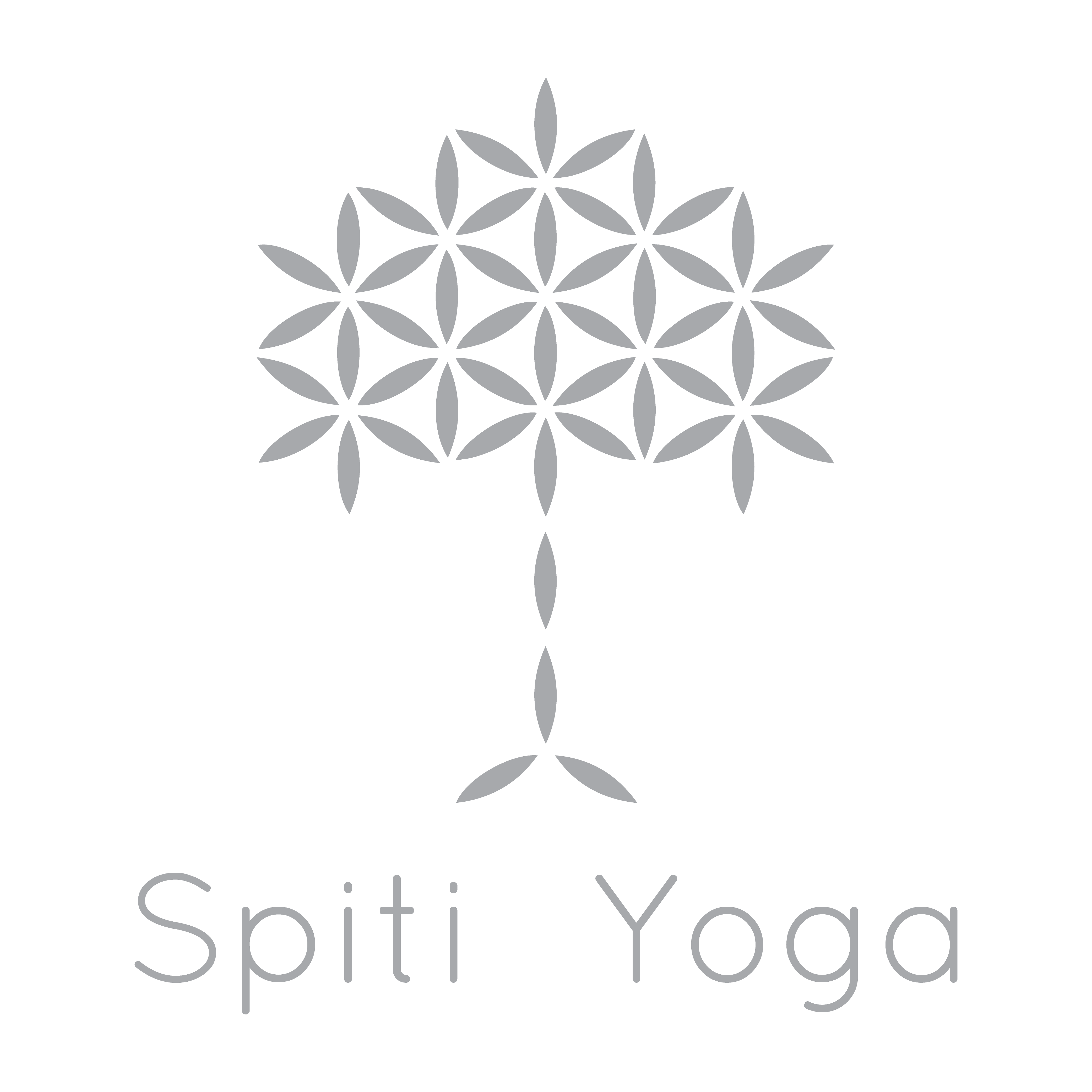 Logo alt Spiti grey big background.png